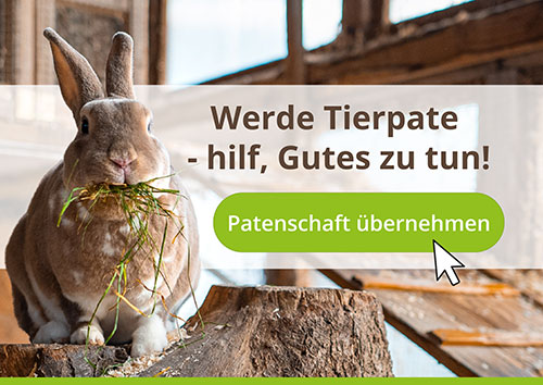 Jetzt Patenschaft übernehmen